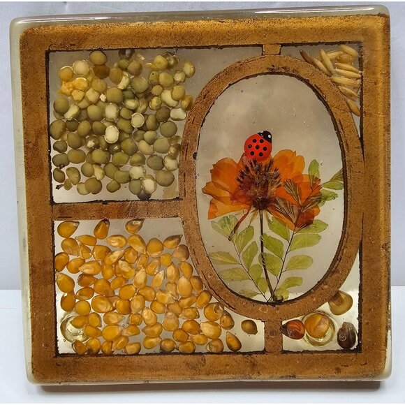 Vintage Resin Trivet With Dried Flowers & Seeds 1970s style - Picture 1 of 7